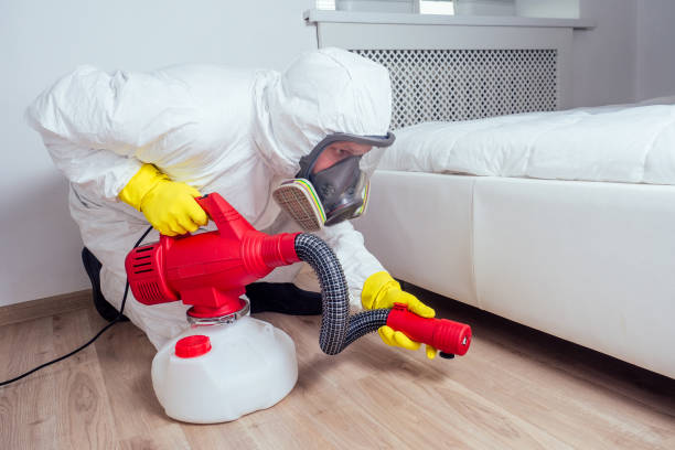 Professional Pest Control in Ridgely, TN