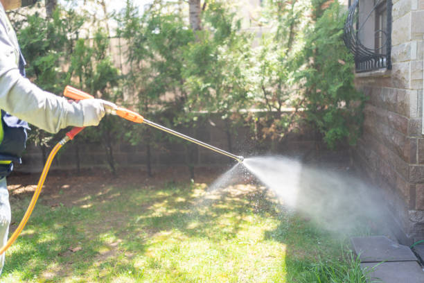 Professional Pest Control in Ridgely, TN