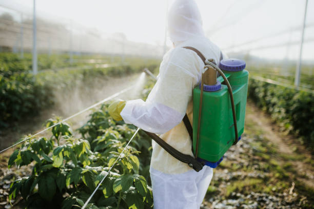 Trusted Ridgely, TN Pest Control Experts